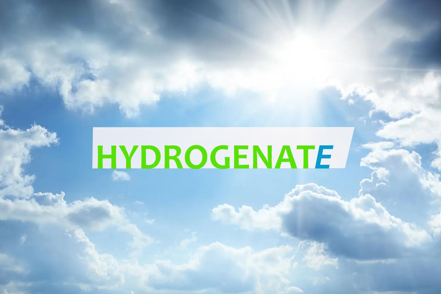 Whiterock.industries Hydrogenate logo